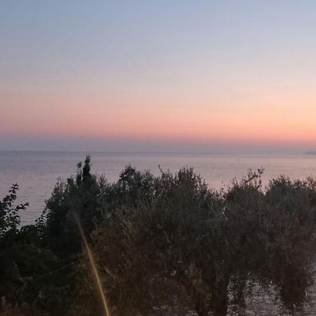 Αrilla Studios Perdika  Dış mekan fotoğraf