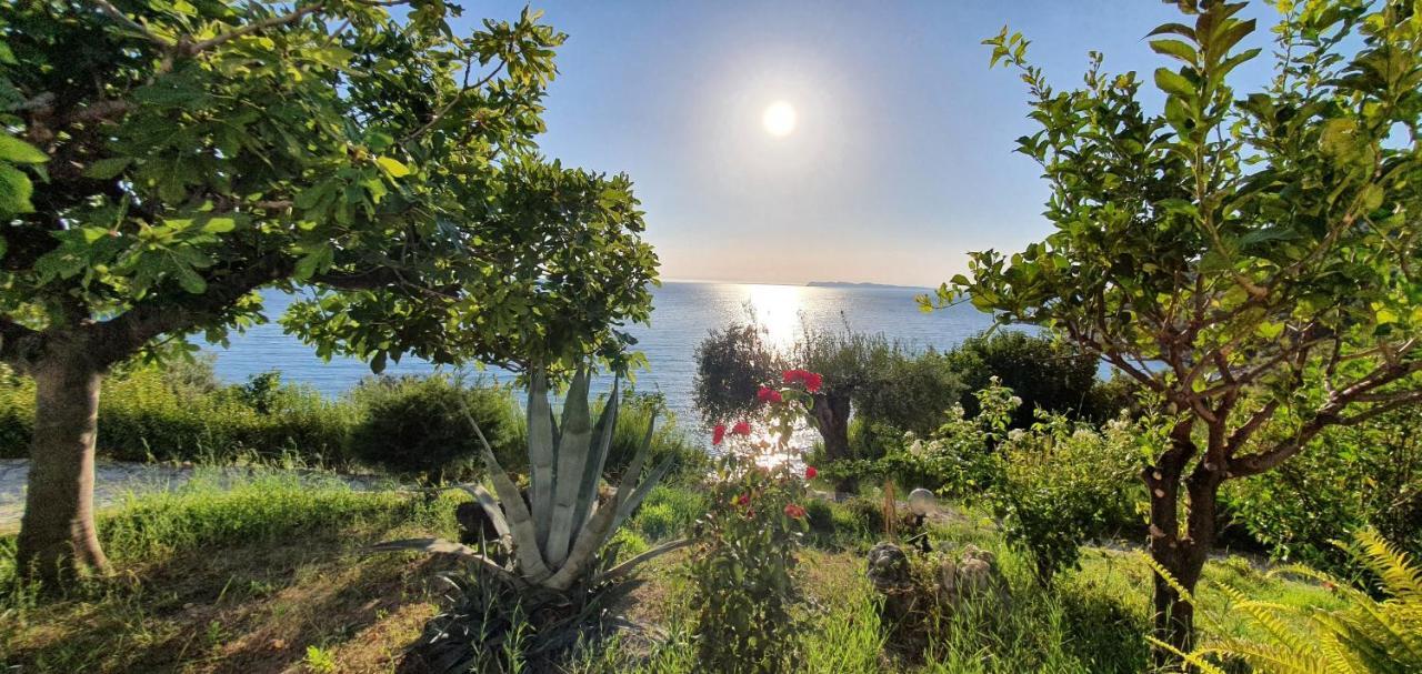 Αrilla Studios Perdika  Dış mekan fotoğraf