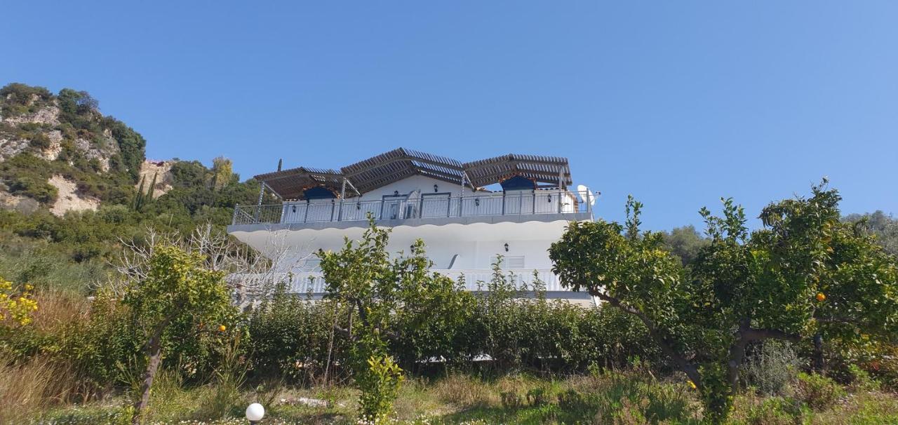 Αrilla Studios Perdika  Dış mekan fotoğraf